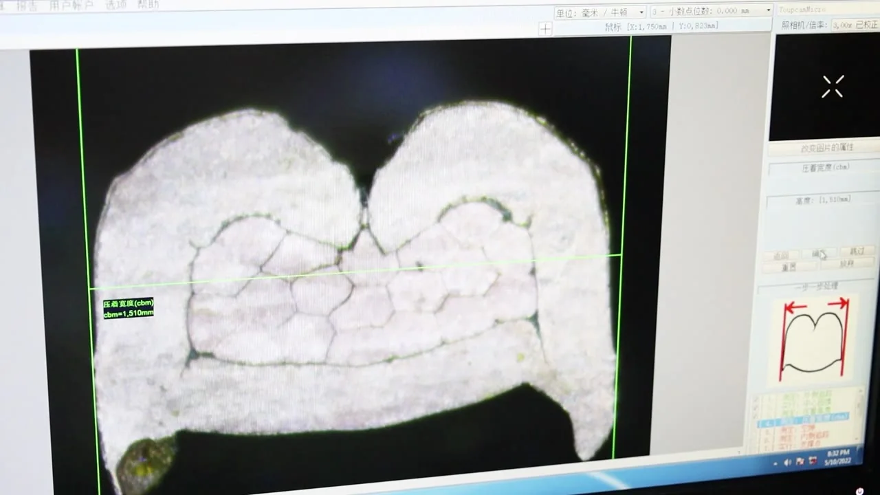 Crimp Cross-Section Analysis System with 30–312X Zoom for Terminal Quality Audits WM-813